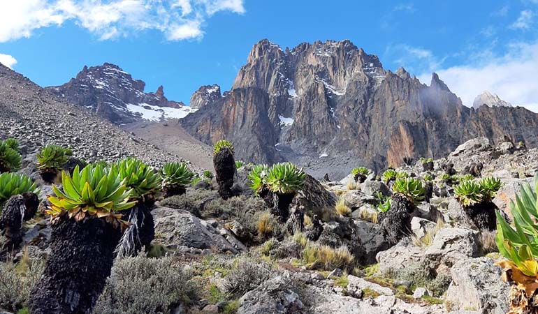 5 Days Chogoria Route
