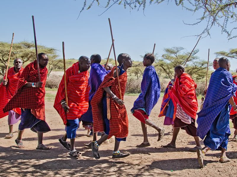 Terrific Safaris Image