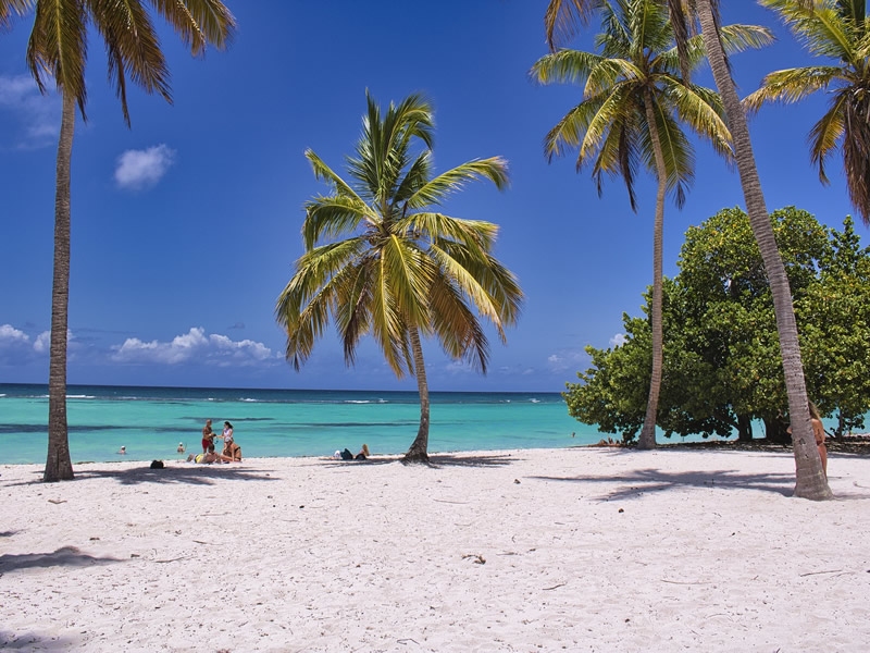 Mombasa North coast