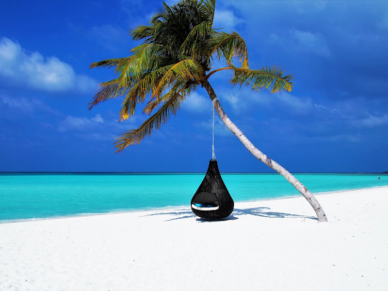 Diani