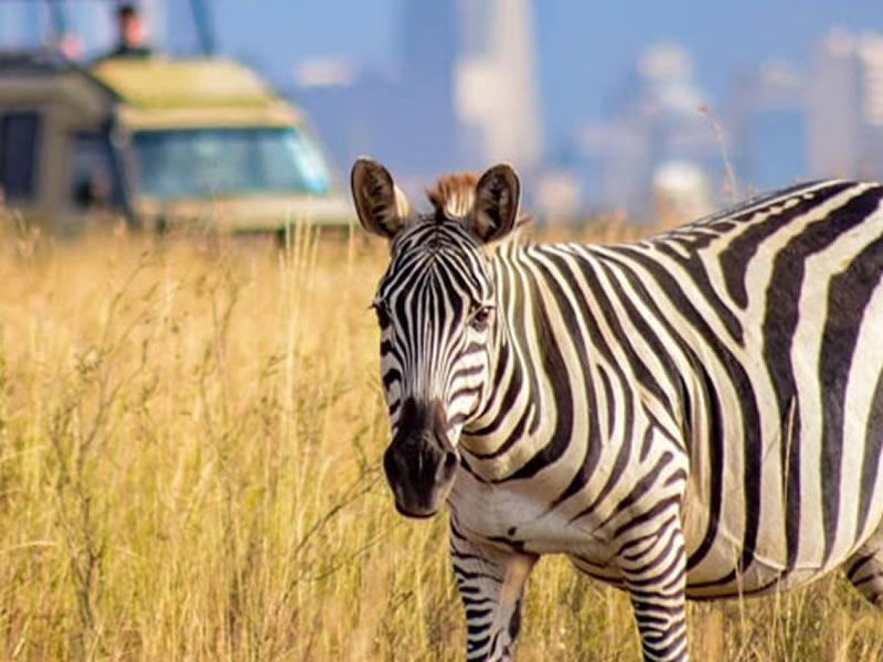 Nairobi