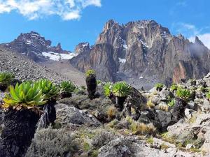Climbing Mount Kenya along the Chogoria Route.