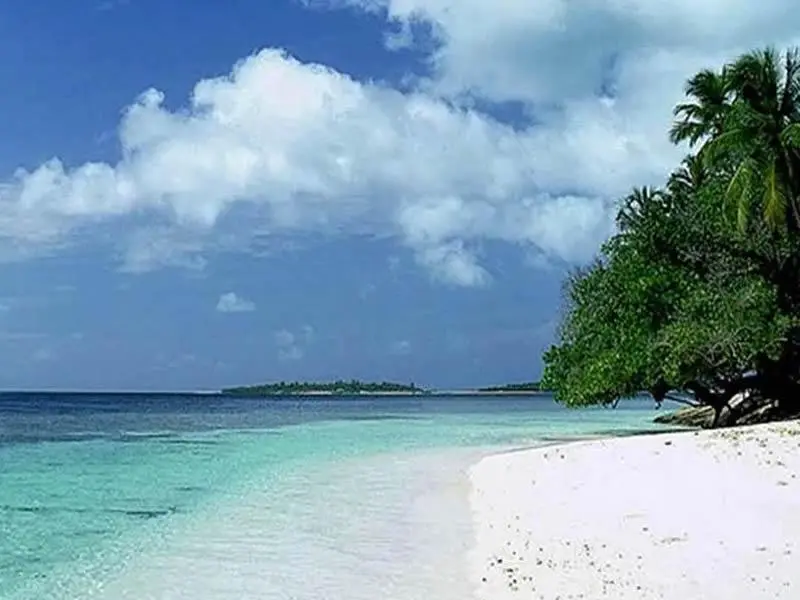 1 Day Mombasa City Tour