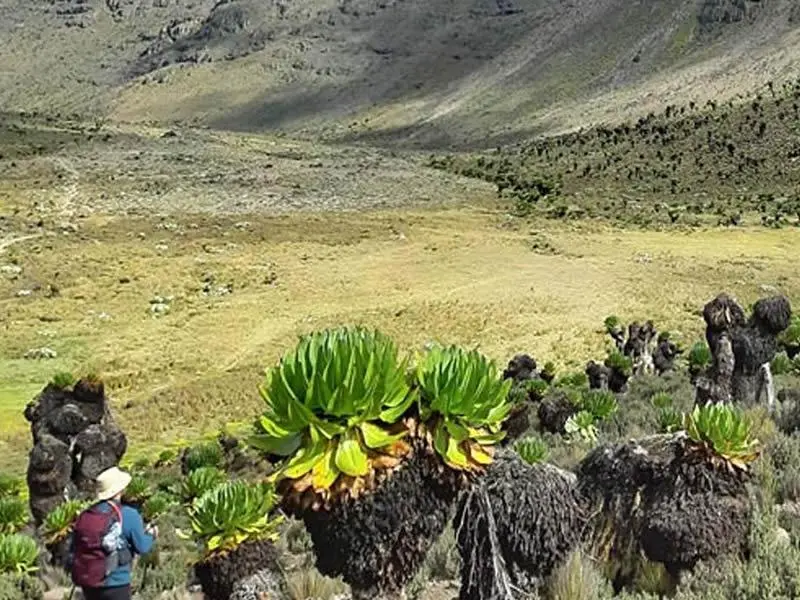 5 Days, 4 Nights Sirimon Route