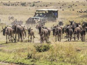 1 Day Maasai Boma Day Tour